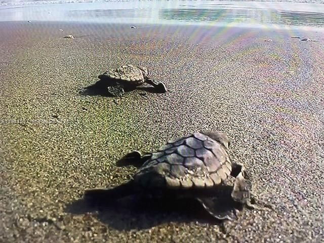 19670 Beach Rd A404, Tequesta, FL 33469