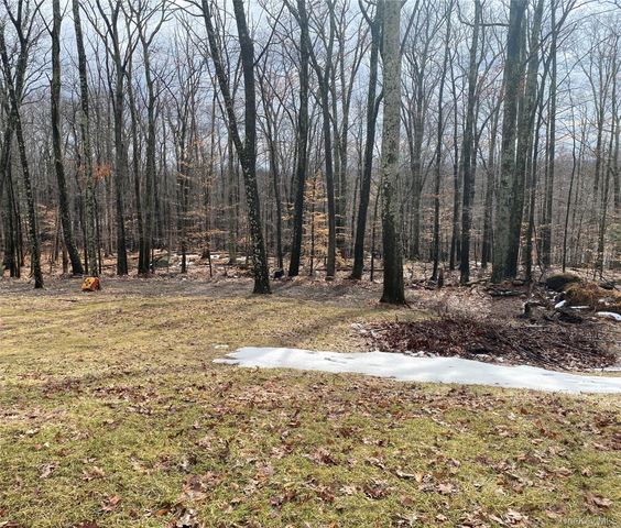 376 Roosa Gap Road, Bloomingburg, NY 12721