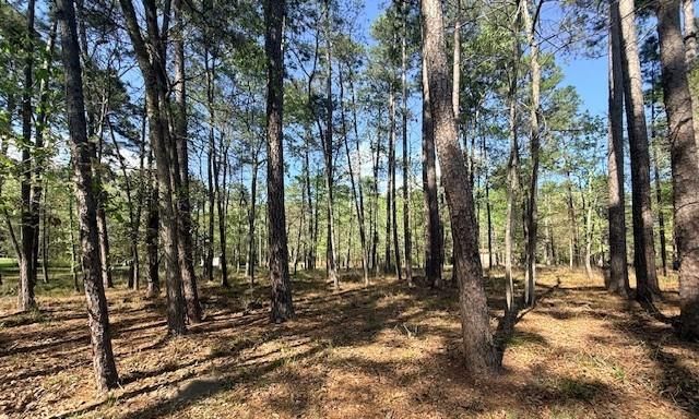 141 Wentworth Lane, Coldspring, TX 77331