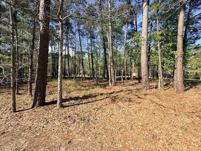 141 Wentworth Lane, Coldspring, TX 77331