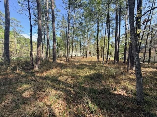 141 Wentworth Lane, Coldspring, TX 77331