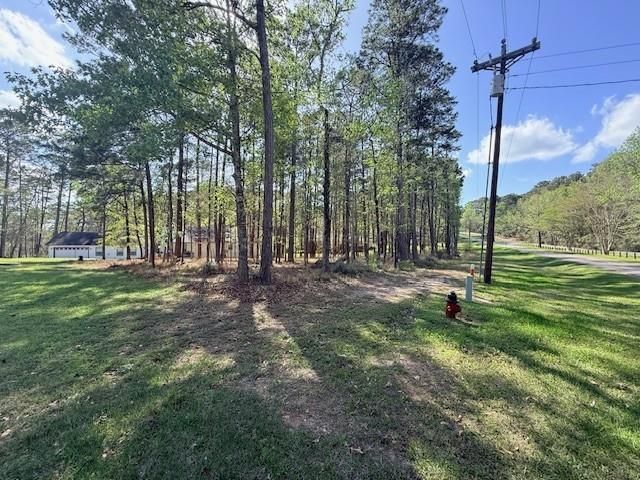 141 Wentworth Lane, Coldspring, TX 77331