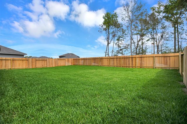 16922 Twisted Seagrass Lane, Magnolia, TX 77355