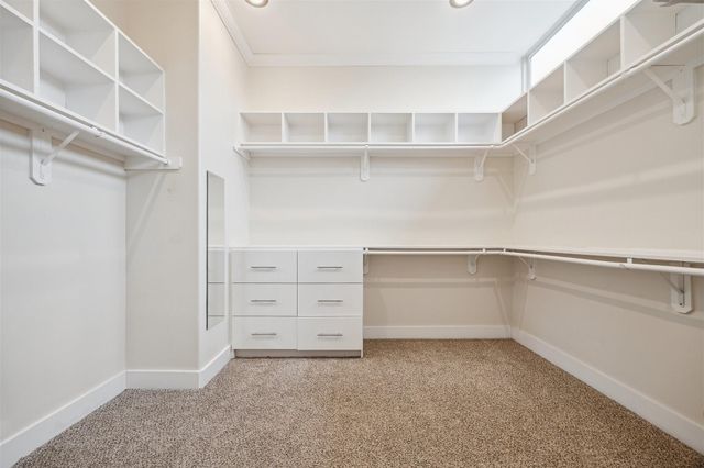 1033 Herkimer Street, Houston, TX 77008