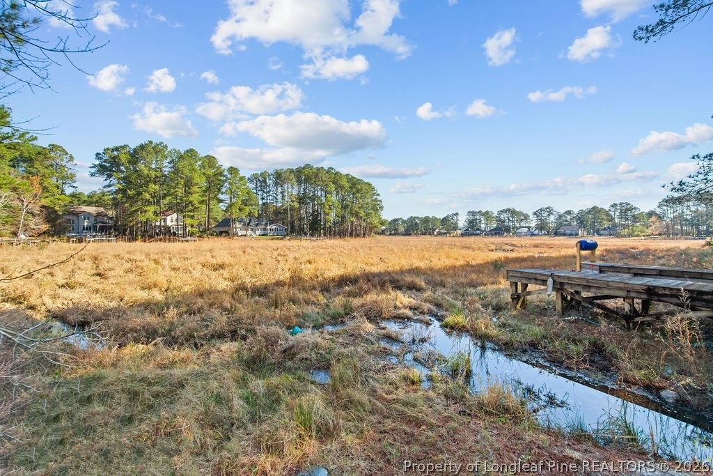 797 Daphne Lane, Vass, NC 28394 — photo 11