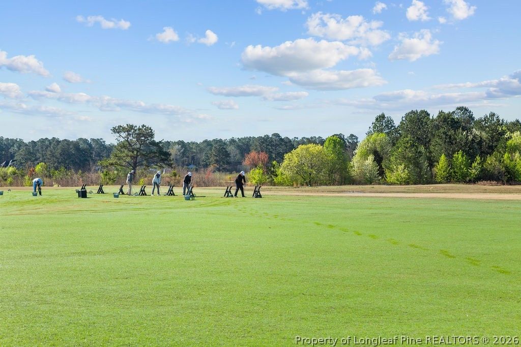 797 Daphne Lane, Vass, NC 28394 — photo 19