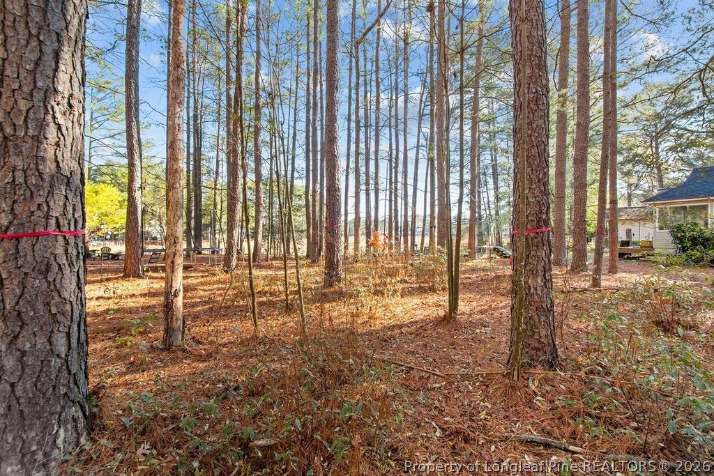 797 Daphne Lane, Vass, NC 28394 — photo 6