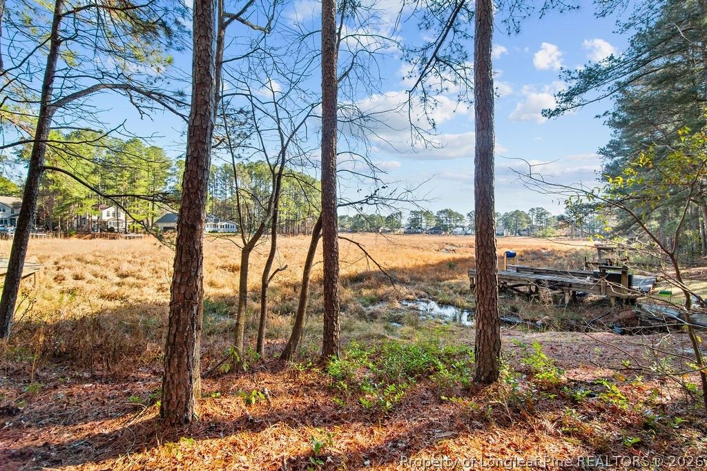 797 Daphne Lane, Vass, NC 28394 — photo 7