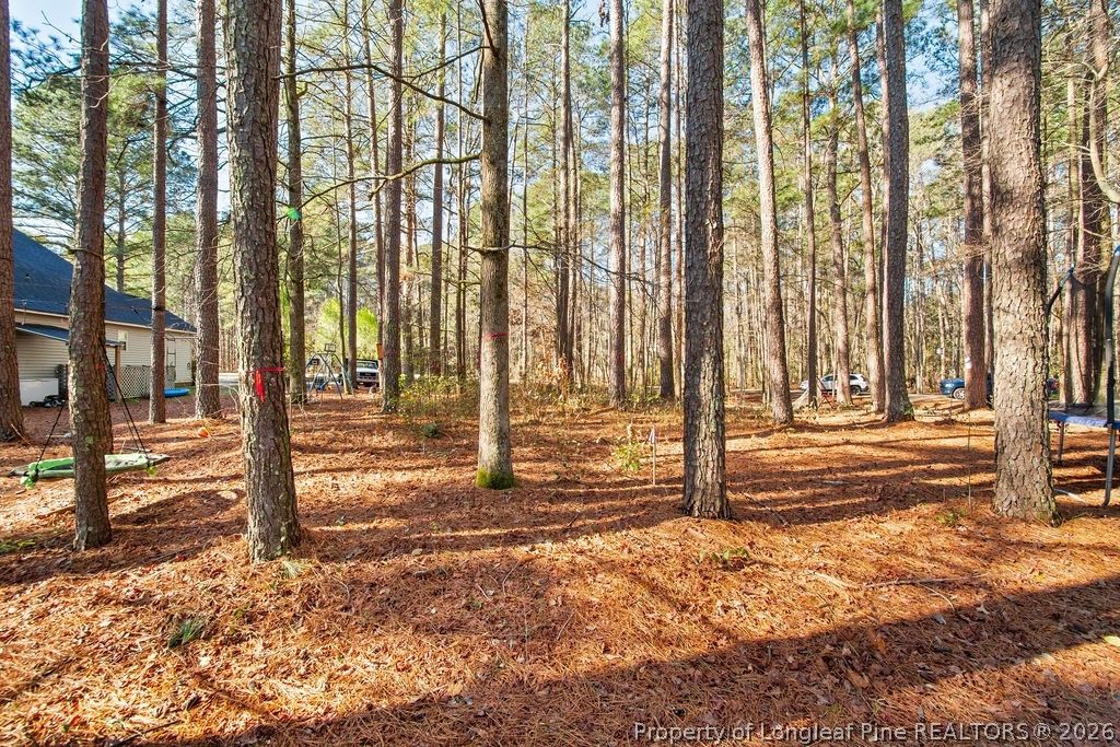 797 Daphne Lane, Vass, NC 28394 — photo 8