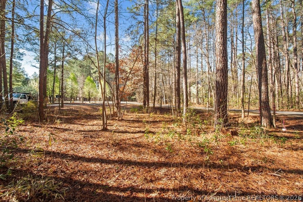 797 Daphne Lane, Vass, NC 28394 — photo 9