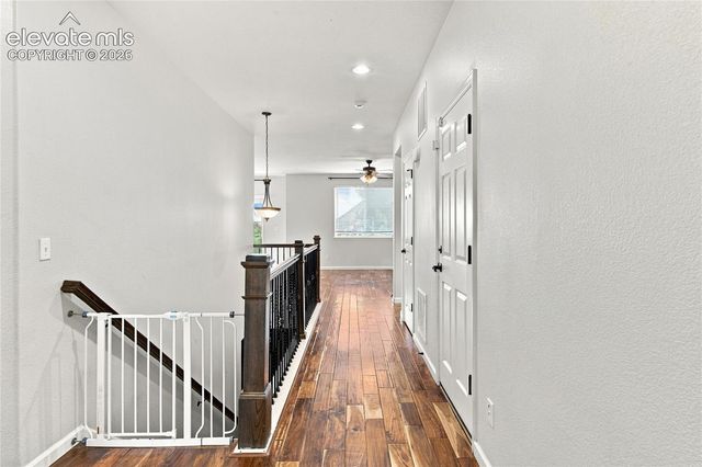 8238 Hollygrape Lane, Colorado Springs, CO 80927