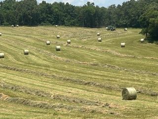 15620 County Road Ww-A, Summersville, MO 65571