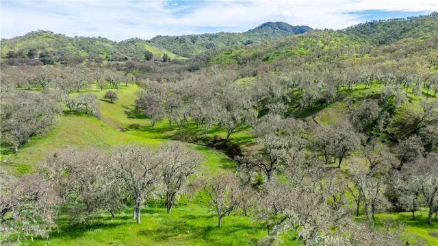 1856 Southfork Place, Paso Robles, CA 93446