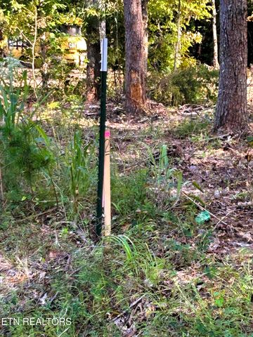 Tract 2 Pleasant Hill Road, Ten Mile, TN 37880