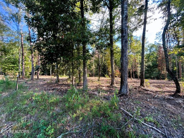 Tract 2 Pleasant Hill Road, Ten Mile, TN 37880