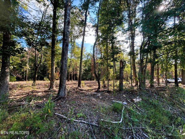 Tract 2 Pleasant Hill Road, Ten Mile, TN 37880