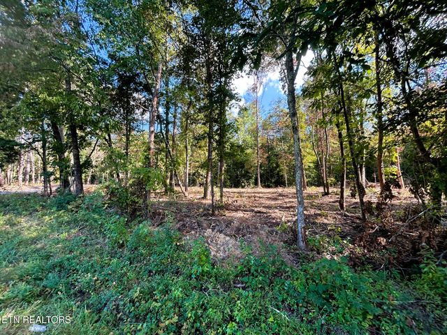 Tract 2 Pleasant Hill Road, Ten Mile, TN 37880