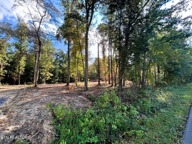 Tract 2 Pleasant Hill Road, Ten Mile, TN 37880