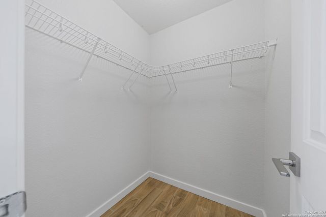 14532 Clovelly Wood, San Antonio, TX 78233