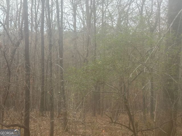 5221 Sandy Shores Court, Lithonia, GA 30038