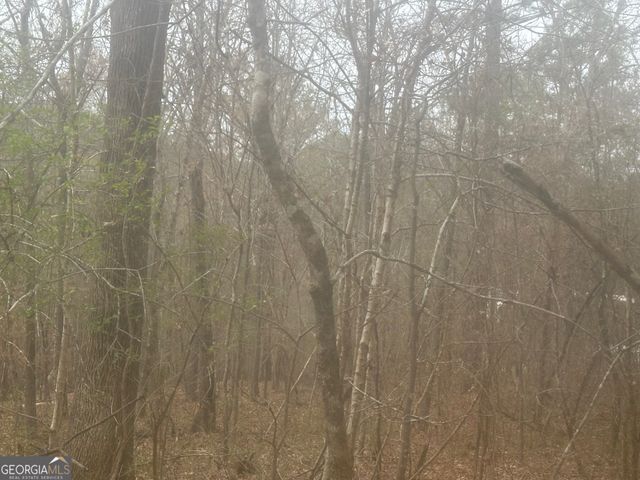 5221 Sandy Shores Court, Lithonia, GA 30038