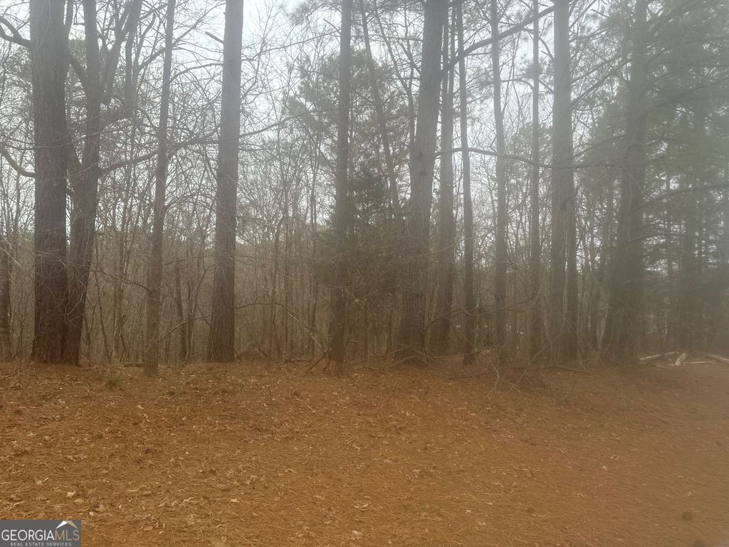 5221 Sandy Shores Court, Lithonia, GA 30038