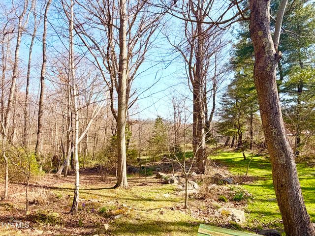 121 Southwest Beverly Avenue, Wise, VA 24293