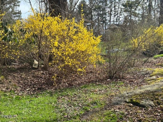 121 Southwest Beverly Avenue, Wise, VA 24293