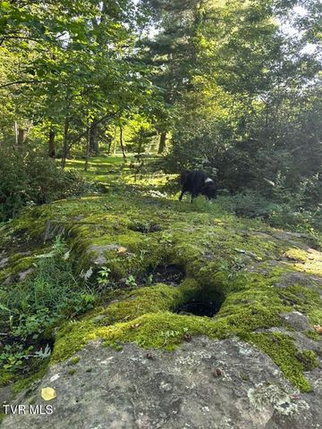 121 Southwest Beverly Avenue, Wise, VA 24293