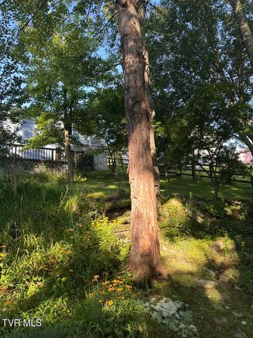 121 Southwest Beverly Avenue, Wise, VA 24293