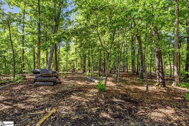 20 Sunset View Lane, Marietta, SC 29661