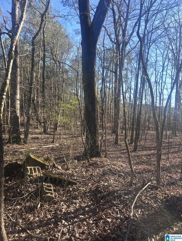 RENAEE CIRCLE, Mccalla, AL 35111