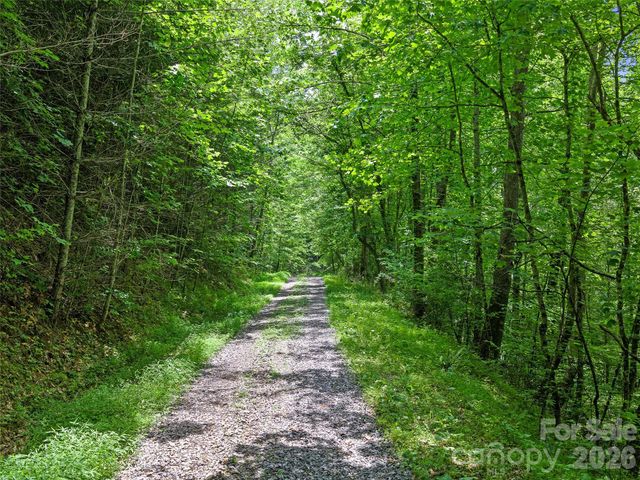 000 Hamlet Drive 1, Burnsville, NC 28714