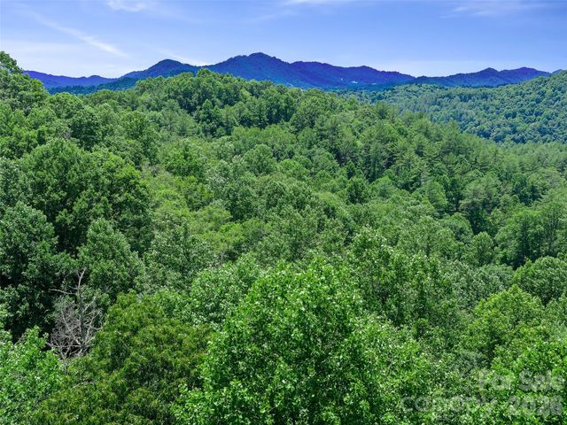 000 Hamlet Drive 1, Burnsville, NC 28714