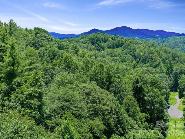 000 Hamlet Drive 1, Burnsville, NC 28714