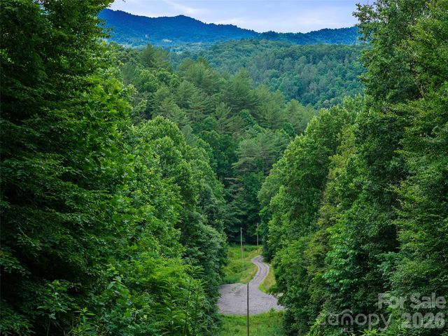 000 Hamlet Drive 1, Burnsville, NC 28714