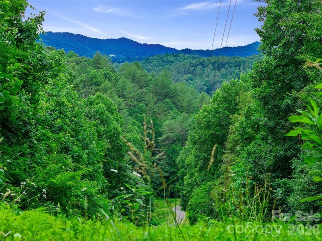 000 Hamlet Drive 1, Burnsville, NC 28714