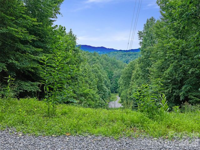 000 Hamlet Drive 1, Burnsville, NC 28714