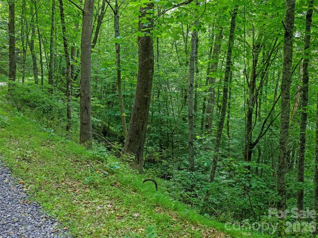 000 Hamlet Drive 1, Burnsville, NC 28714