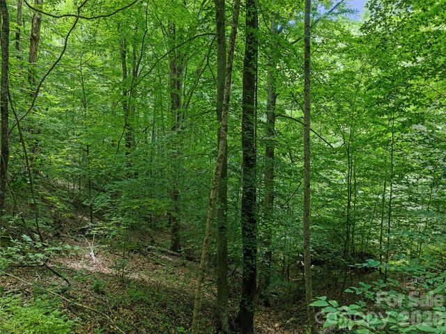 000 Hamlet Drive 1, Burnsville, NC 28714