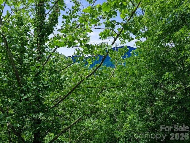 000 Hamlet Drive 1, Burnsville, NC 28714