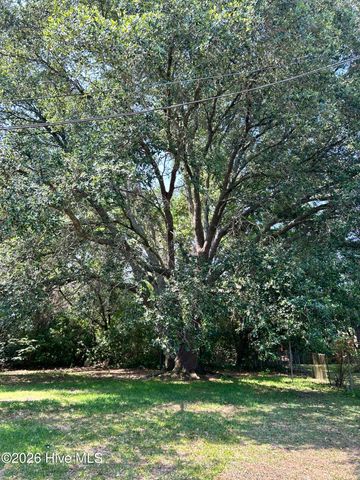 549 Mohican Trail, Wilmington, NC 28409