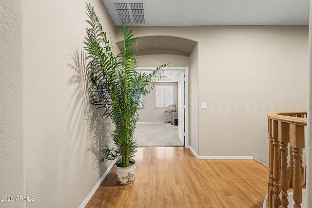 13038 W SEGOVIA Drive, Litchfield Park, AZ 85340