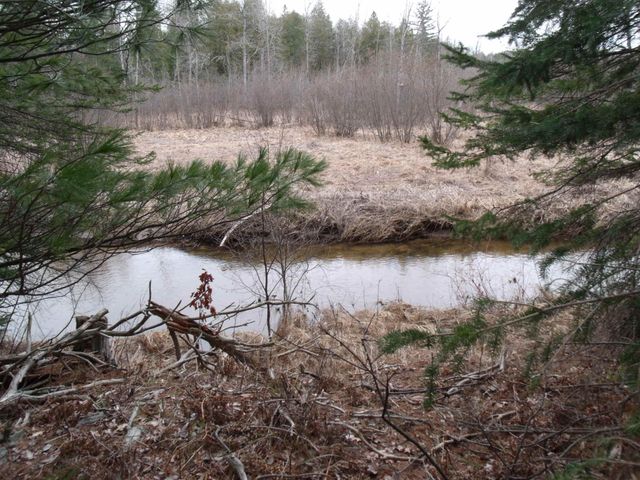 Spikehorn Trail, Parcel 18, Indian River, MI 49749