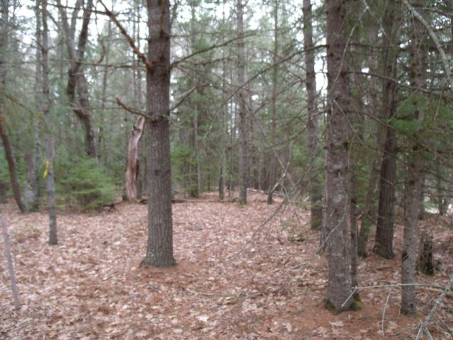 Spikehorn Trail, Parcel 18, Indian River, MI 49749