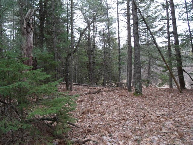 Spikehorn Trail, Parcel 18, Indian River, MI 49749