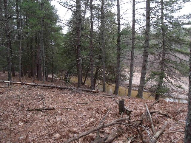 Spikehorn Trail, Parcel 18, Indian River, MI 49749