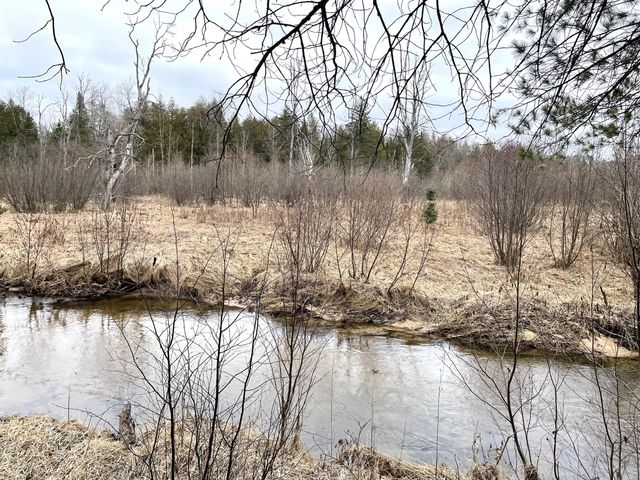 Spikehorn Trail, Parcel 18, Indian River, MI 49749