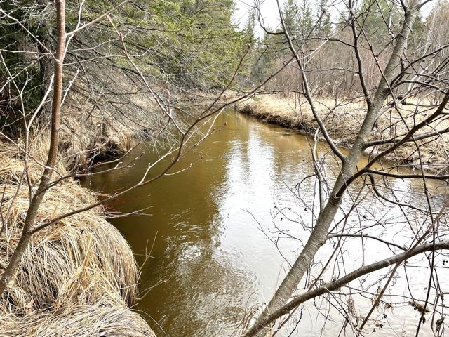 Spikehorn Trail, Parcel 18, Indian River, MI 49749