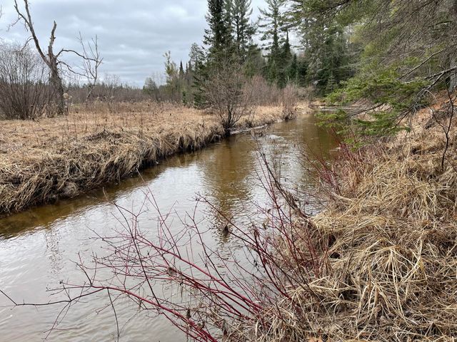 Spikehorn Trail, Parcel 18, Indian River, MI 49749